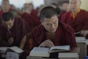 Монахи следят по тексту за наставлениями Его Святейшества Далай-ламы по 18 коренным текстам и комментариям традиции Ламрим в монастыре Ганден Джангце. Мундгод, Индия. 25 декабря 2014 г. Фото: Тензин Чойджор (офис ЕСДЛ)