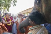 Его Святейшество Далай-ламу, прибывшего в ашрам Шри Удасина Каршни на ритуал рудра абхишека (омовение лингама Шивы) и ритуал хаван (огненная пуджа), встречают согласно индийским традициям. Матхура, штат Уттар-Прадеш, Индия. 21 марта 2017 г. Фото: Тензин Чойджор (офис ЕСДЛ)