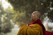 Его Святейшество Далай-лама смотрит во время молебна на ступу Махабодхи. Бодхгая, штат Бихар, Индия. 17 января 2018 г. Фото: Мануэль Бауэр.